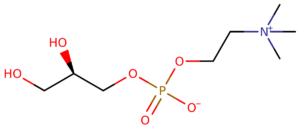 Alpha-GPC