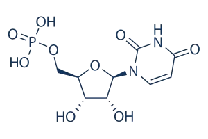 Alpha-GPC and Uridine: An Incredible Nootropic Combination – Nooflow™  Absolute Mind